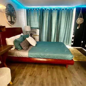 Lewers Studio Apartment
